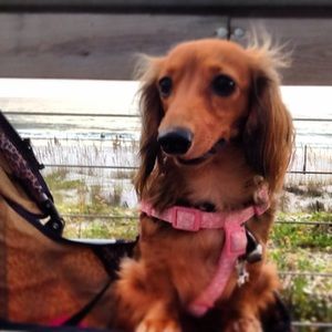 Meet your Posher, Kimberly